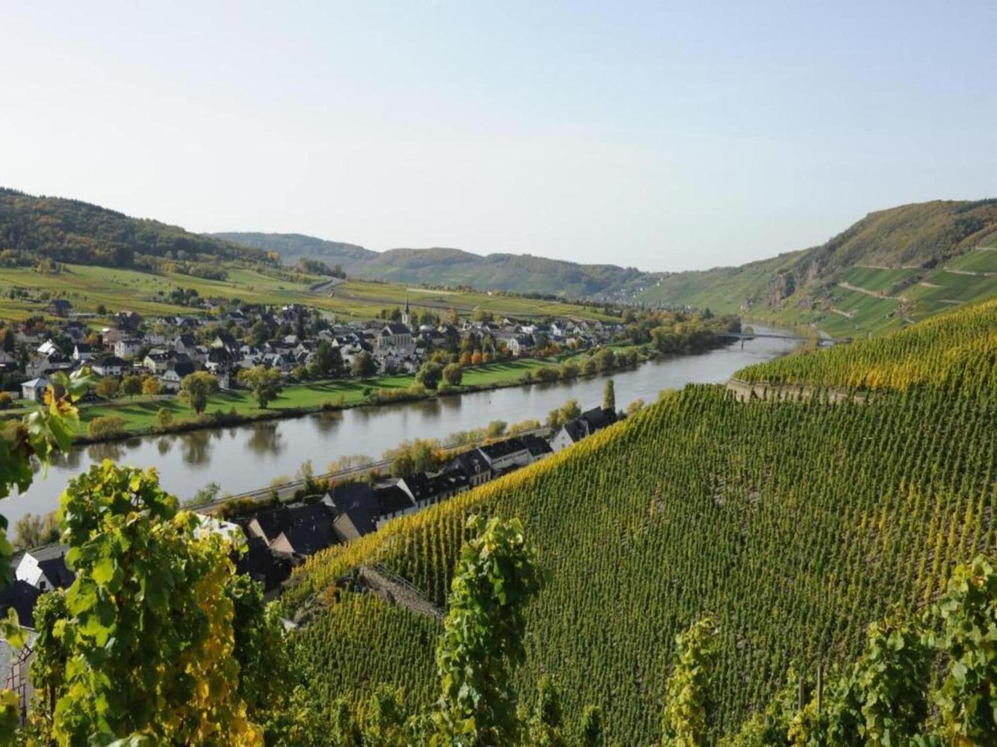 Sch Ne Wohnung In Der Moselregion Kinheim Экстерьер фото