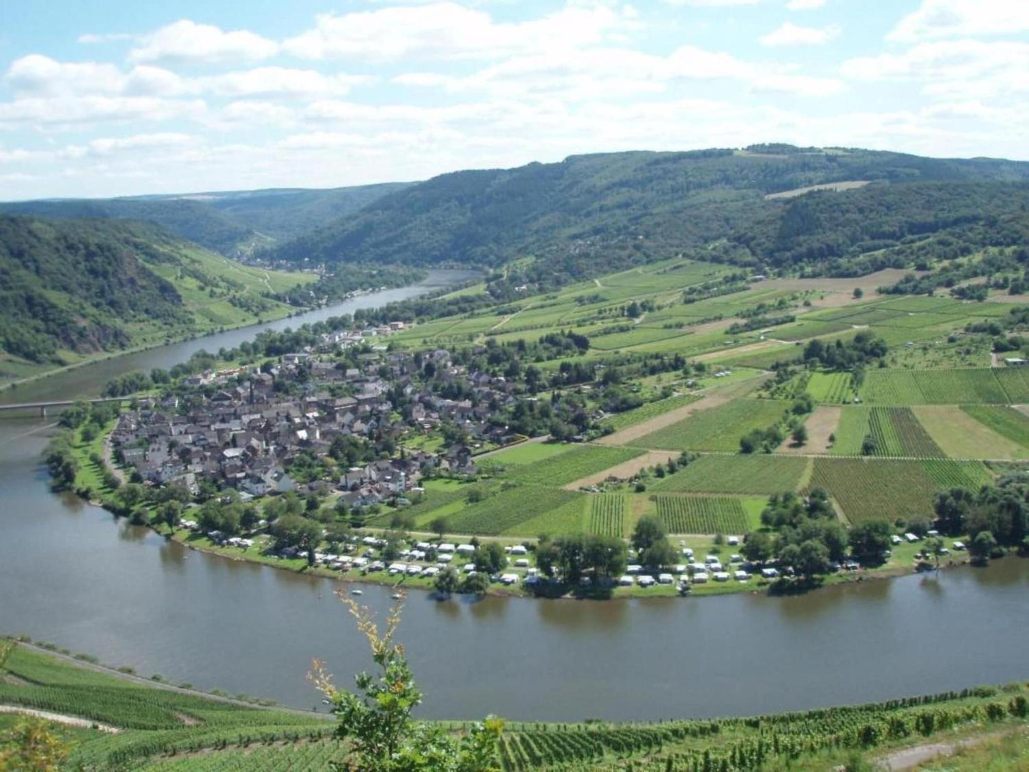 Sch Ne Wohnung In Der Moselregion Kinheim Экстерьер фото