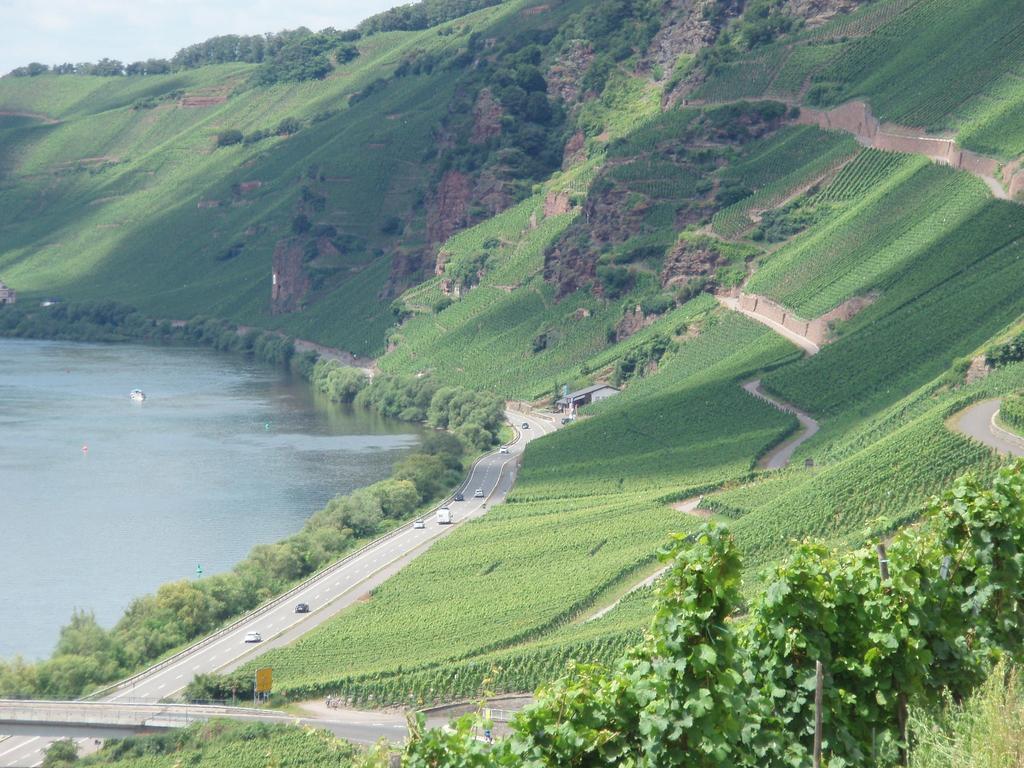 Sch Ne Wohnung In Der Moselregion Kinheim Экстерьер фото