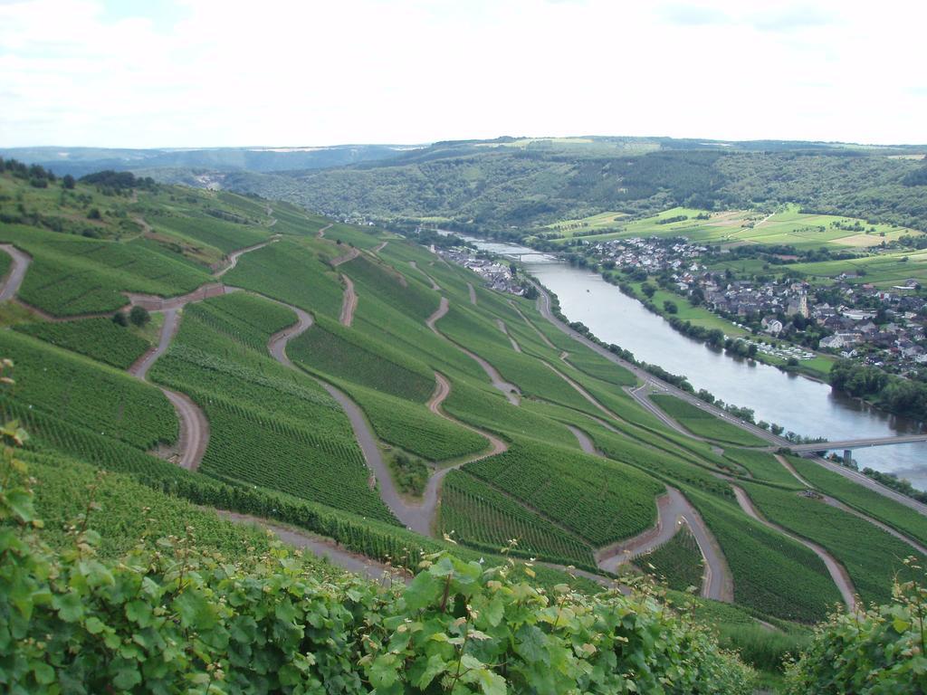 Sch Ne Wohnung In Der Moselregion Kinheim Экстерьер фото