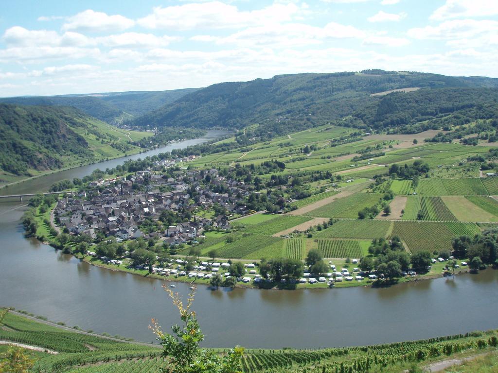 Sch Ne Wohnung In Der Moselregion Kinheim Экстерьер фото